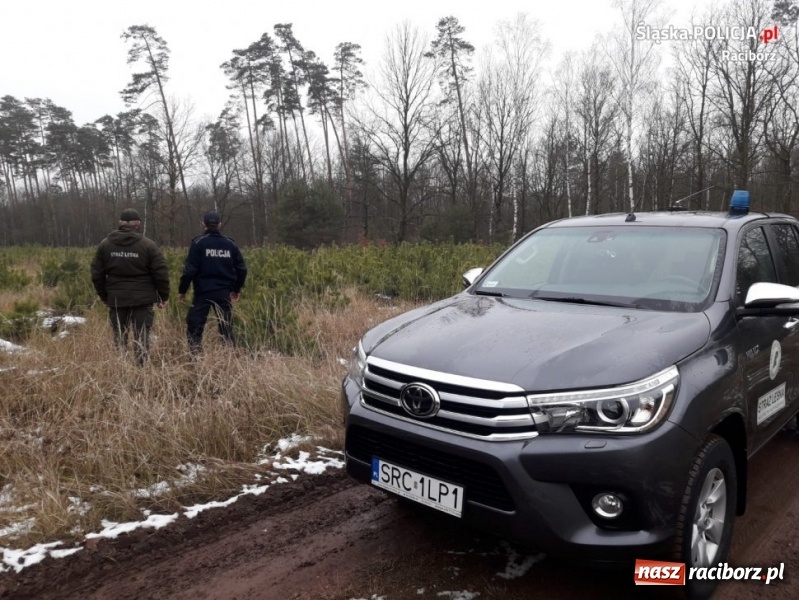 Zdjęcie w galerii na portalu naszraciborz.pl: Policja i straż leśna wspólnie patrolują lasy  wiadomości z regionu