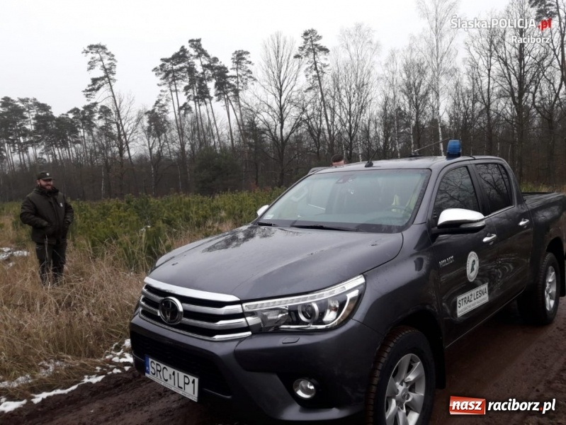 Zdjęcie w galerii na portalu naszraciborz.pl: Policja i straż leśna wspólnie patrolują lasy  wiadomości z regionu
