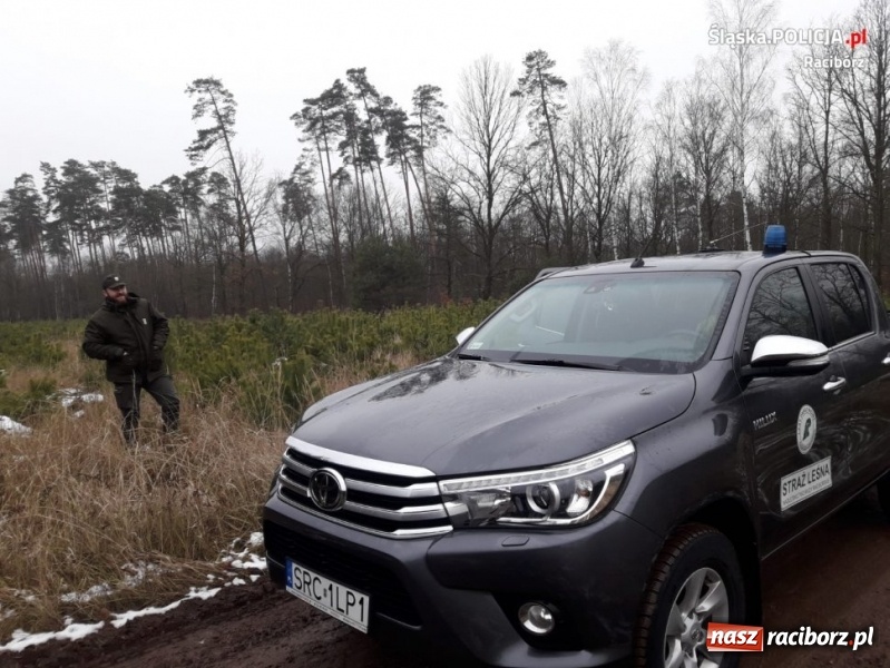 Zdjęcie w galerii na portalu naszraciborz.pl: Policja i straż leśna wspólnie patrolują lasy  wiadomości z regionu