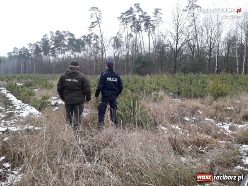 Zdjęcie w galerii na portalu naszraciborz.pl: Policja i straż leśna wspólnie patrolują lasy  wiadomości z regionu