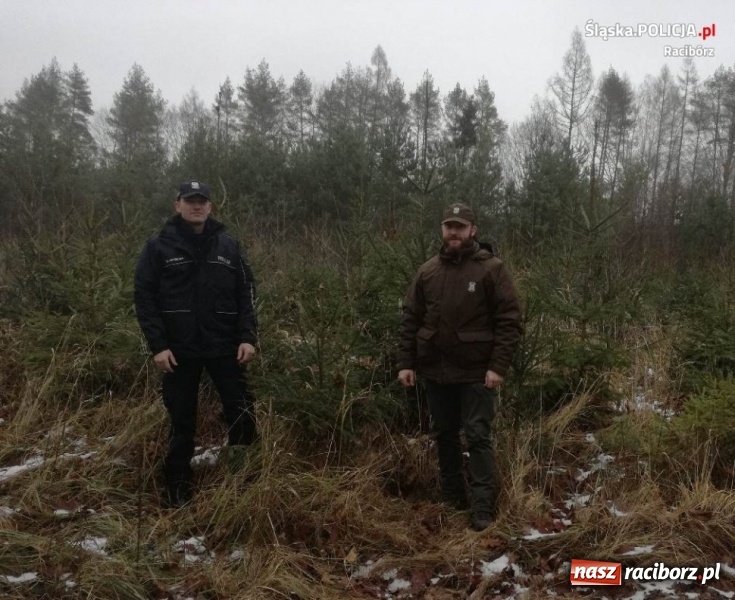 Zdjęcie w galerii na portalu naszraciborz.pl: Policja i straż leśna wspólnie patrolują lasy  wiadomości z regionu