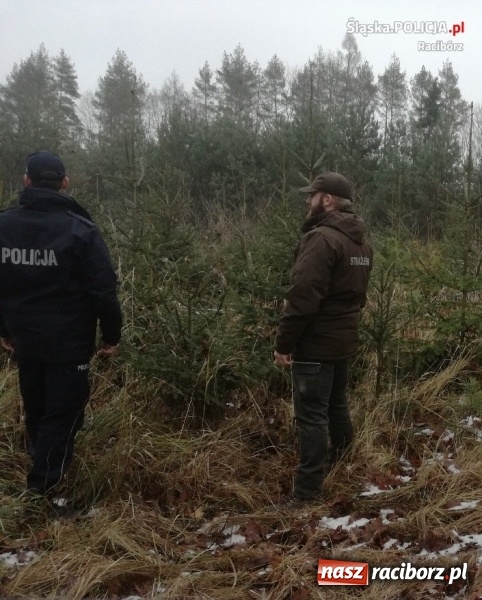 Zdjęcie w galerii na portalu naszraciborz.pl: Policja i straż leśna wspólnie patrolują lasy  wiadomości z regionu