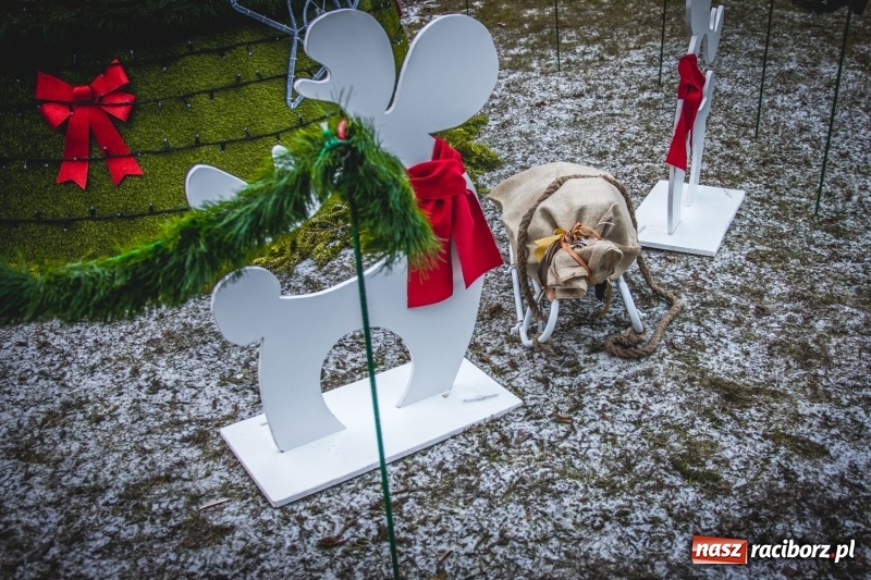 Zdjęcie w galerii na portalu naszraciborz.pl: W Krzanowicach gotowi na Boże Narodzenie. Dziś na rynku odbyło się rozpalenie choinki  wiadomości z regionu