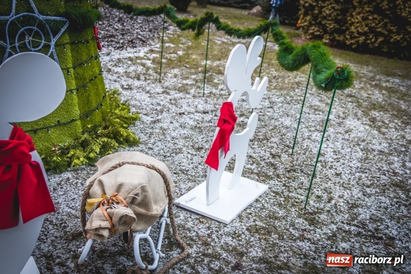 Zdjęcie w galerii na portalu naszraciborz.pl: W Krzanowicach gotowi na Boże Narodzenie. Dziś na rynku odbyło się rozpalenie choinki  wiadomości z regionu