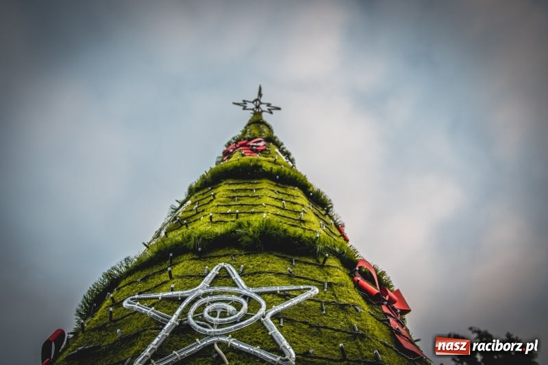 Zdjęcie w galerii na portalu naszraciborz.pl: W Krzanowicach gotowi na Boże Narodzenie. Dziś na rynku odbyło się rozpalenie choinki  wiadomości z regionu
