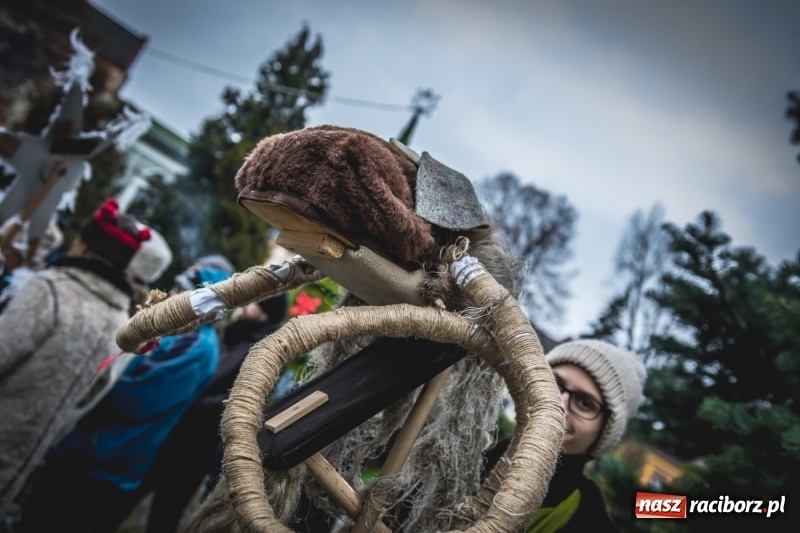 Zdjęcie w galerii na portalu naszraciborz.pl: W Krzanowicach gotowi na Boże Narodzenie. Dziś na rynku odbyło się rozpalenie choinki  wiadomości z regionu