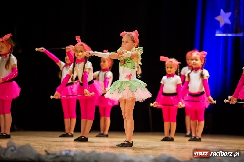 Zdjęcie w galerii na portalu naszraciborz.pl: Koncert charytatywny Źródła na rzecz Rafałka wiadomości z regionu