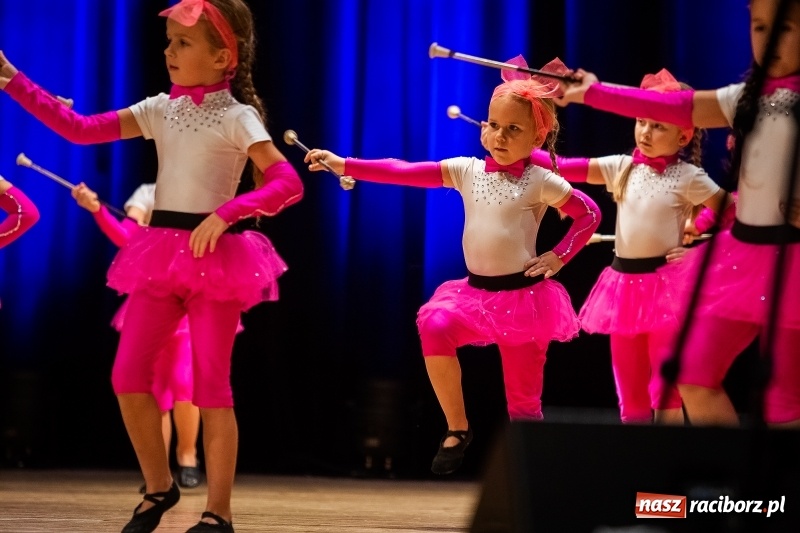 Zdjęcie w galerii na portalu naszraciborz.pl: Koncert charytatywny Źródła na rzecz Rafałka wiadomości z regionu