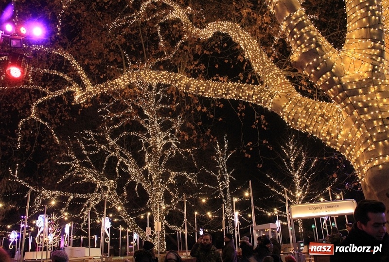 Zdjęcie w galerii na portalu naszraciborz.pl: Uczniowie I LO zobaczyli Wiedeń w świątecznej odsłonie wiadomości z regionu