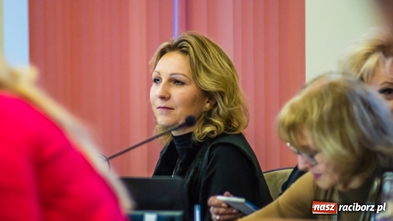 Zdjęcie w galerii na portalu naszraciborz.pl: Ekspresowe tempo komisji finansów. Projekt drogi Racibórz-Pszczyna stanie się półkownikiem? wiadomości z regionu