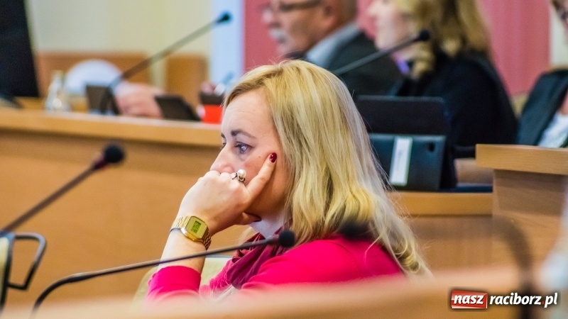 Zdjęcie w galerii na portalu naszraciborz.pl: Ekspresowe tempo komisji finansów. Projekt drogi Racibórz-Pszczyna stanie się półkownikiem? wiadomości z regionu