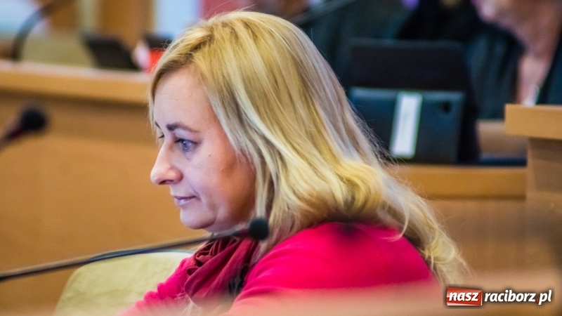 Zdjęcie w galerii na portalu naszraciborz.pl: Ekspresowe tempo komisji finansów. Projekt drogi Racibórz-Pszczyna stanie się półkownikiem? wiadomości z regionu