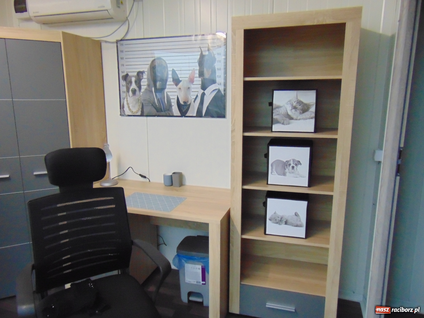 Zdjęcie w galerii na portalu naszraciborz.pl: W Raciborzu powstał pawilon dla psów wiadomości z regionu