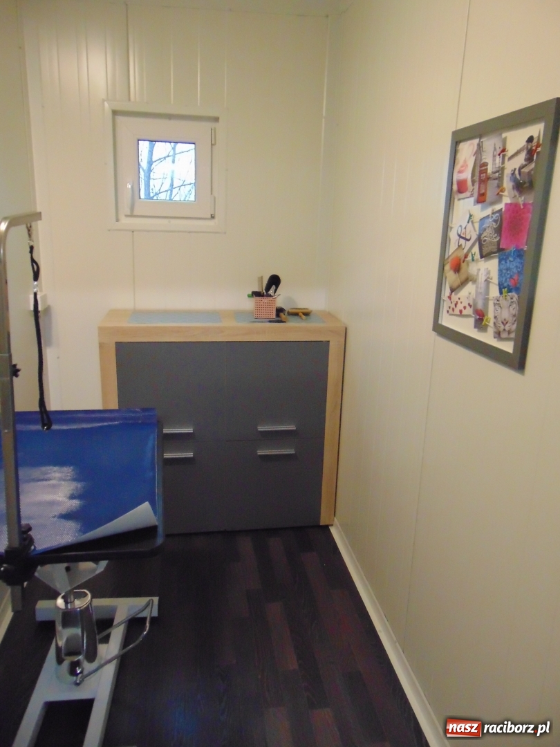 Zdjęcie w galerii na portalu naszraciborz.pl: W Raciborzu powstał pawilon dla psów wiadomości z regionu