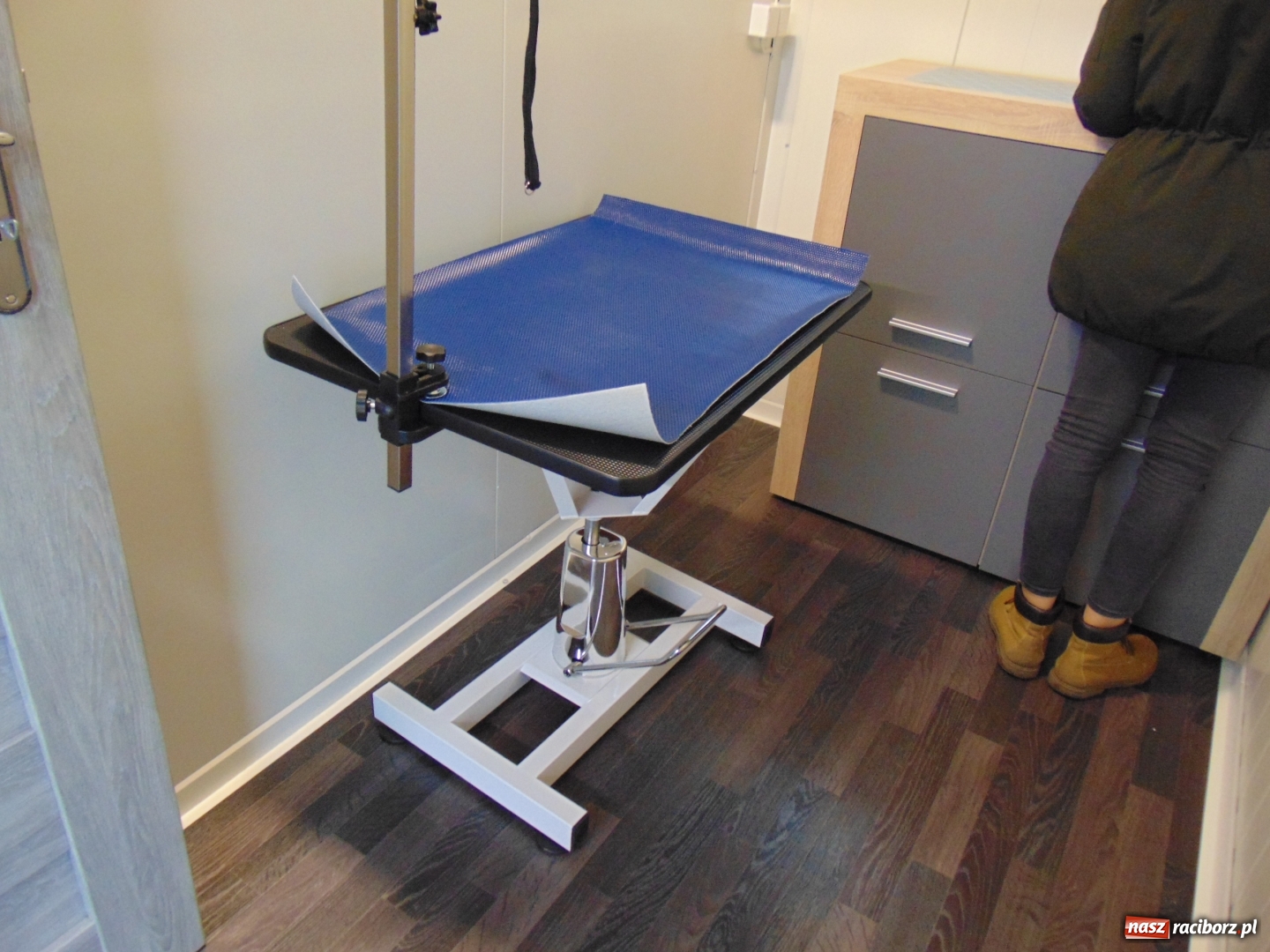 Zdjęcie w galerii na portalu naszraciborz.pl: W Raciborzu powstał pawilon dla psów wiadomości z regionu