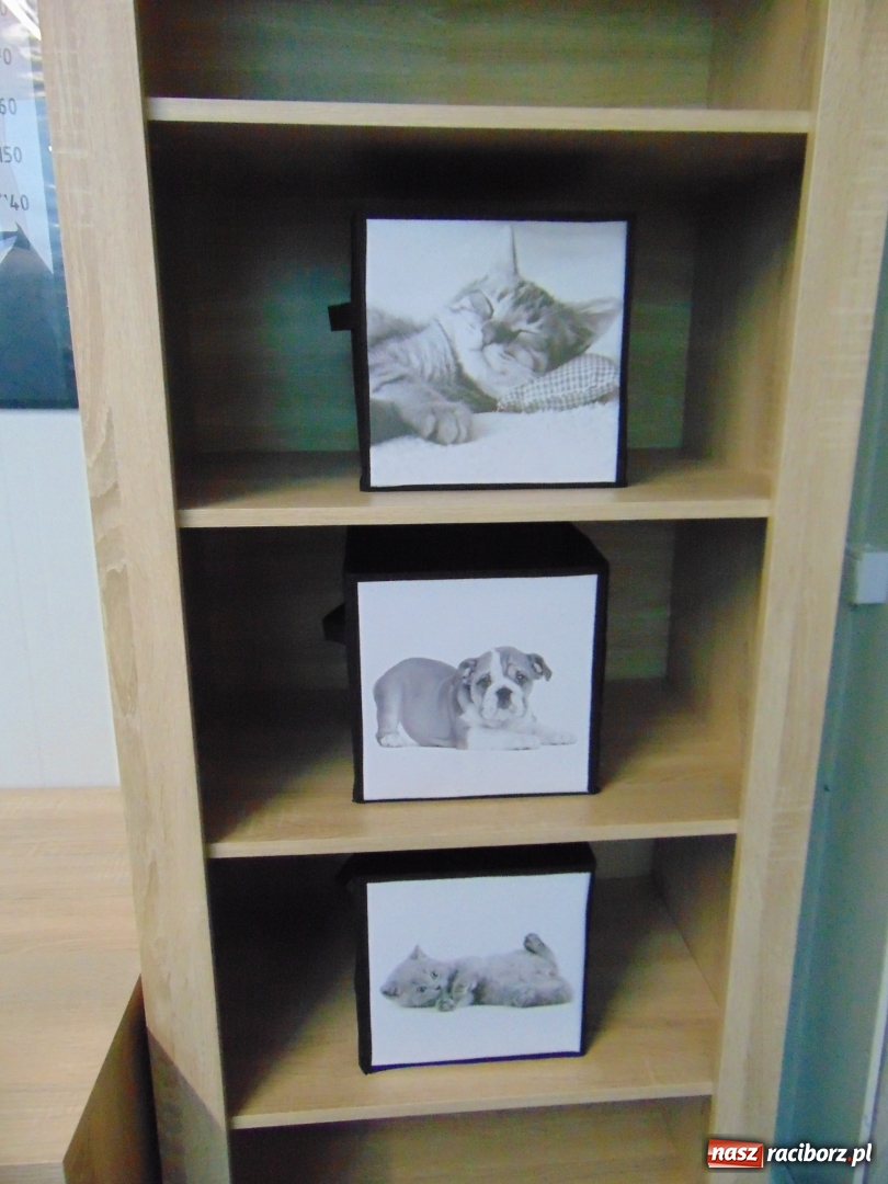 Zdjęcie w galerii na portalu naszraciborz.pl: W Raciborzu powstał pawilon dla psów wiadomości z regionu