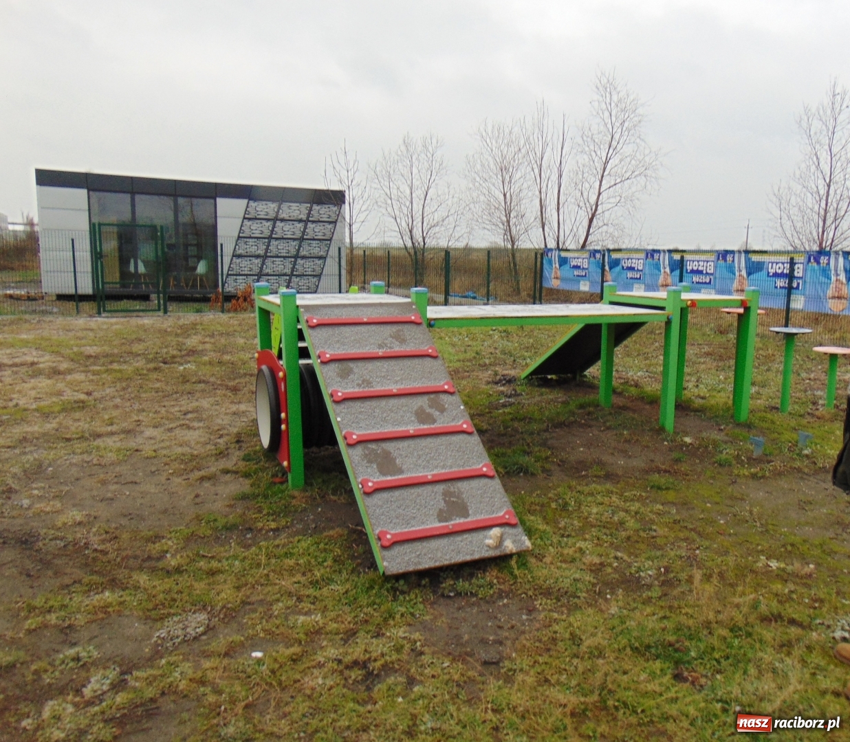 Zdjęcie w galerii na portalu naszraciborz.pl: W Raciborzu powstał pawilon dla psów wiadomości z regionu