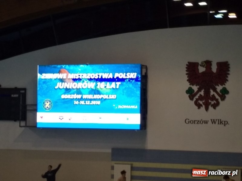 Zdjęcie w galerii na portalu naszraciborz.pl: Pływanie. Pięć medali pływaków Szkoły Mistrzostwa Sportowego wiadomości z regionu