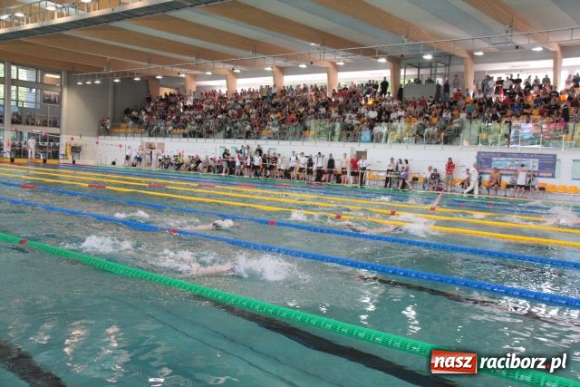 Zdjęcie w galerii na portalu naszraciborz.pl: Pływanie: Maciej Sudenis z minimum wiadomości z regionu