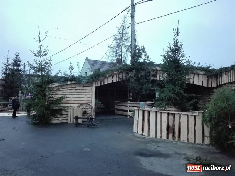 Zdjęcie w galerii na portalu naszraciborz.pl: W Dziergowicach powstaje ogromna żywa szopka  wiadomości z regionu