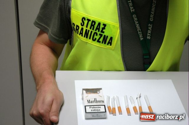 Zdjęcie w galerii na portalu naszraciborz.pl: Marihuana w markowych papierosach wiadomości z regionu