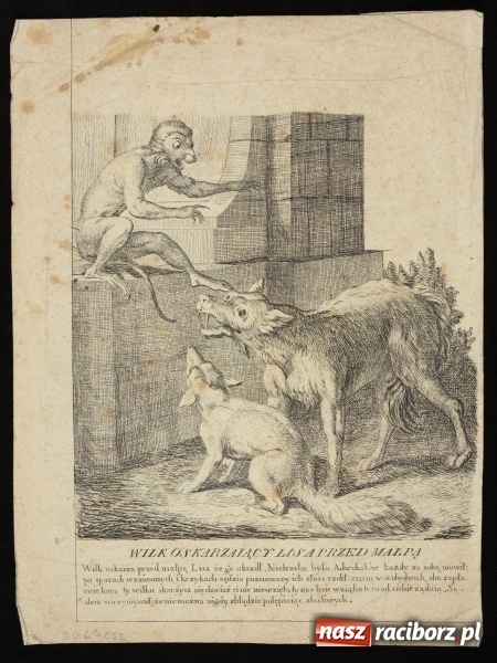 Zdjęcie w galerii na portalu naszraciborz.pl: Dwanaście talarów za waderę. Wielka rzeź wilków na Górnym Śląsku  wiadomości z regionu