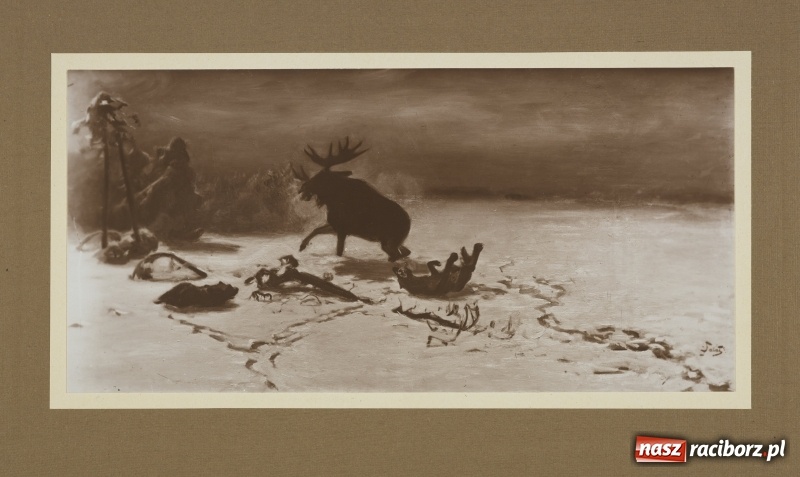 Zdjęcie w galerii na portalu naszraciborz.pl: Dwanaście talarów za waderę. Wielka rzeź wilków na Górnym Śląsku  wiadomości z regionu