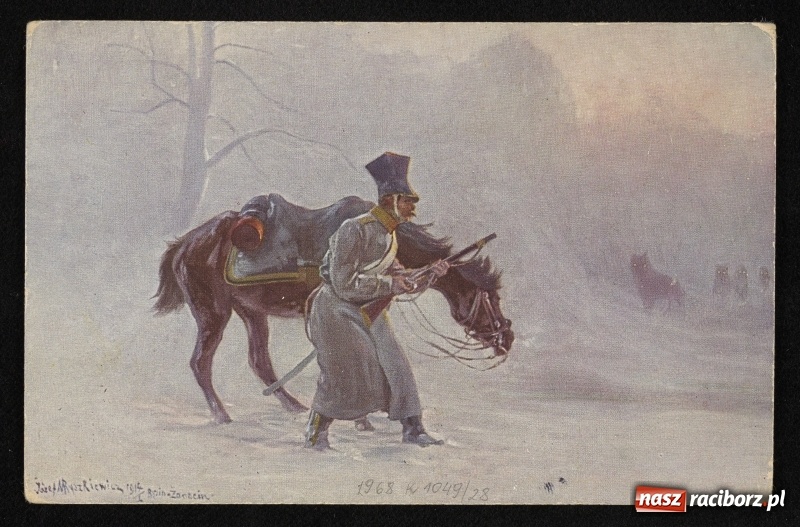 Zdjęcie w galerii na portalu naszraciborz.pl: Dwanaście talarów za waderę. Wielka rzeź wilków na Górnym Śląsku  wiadomości z regionu