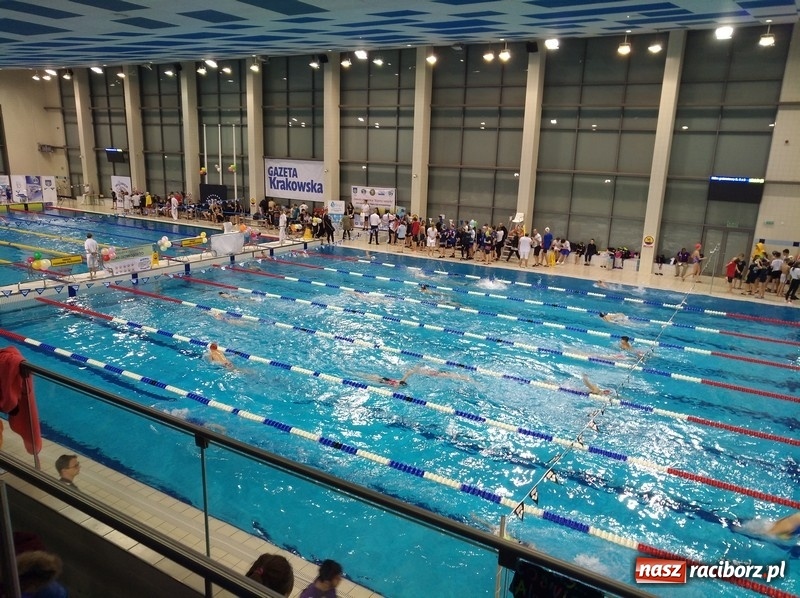 Zdjęcie w galerii na portalu naszraciborz.pl: Cztery medale jak świąteczne prezenty od pływaków  wiadomości z regionu