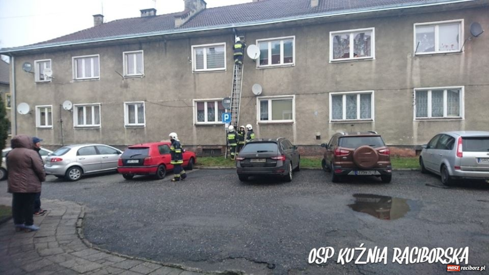 Zdjęcie w galerii na portalu naszraciborz.pl: Przedświąteczne ratowanie kota w Kuźni Raciborskiej  wiadomości z regionu