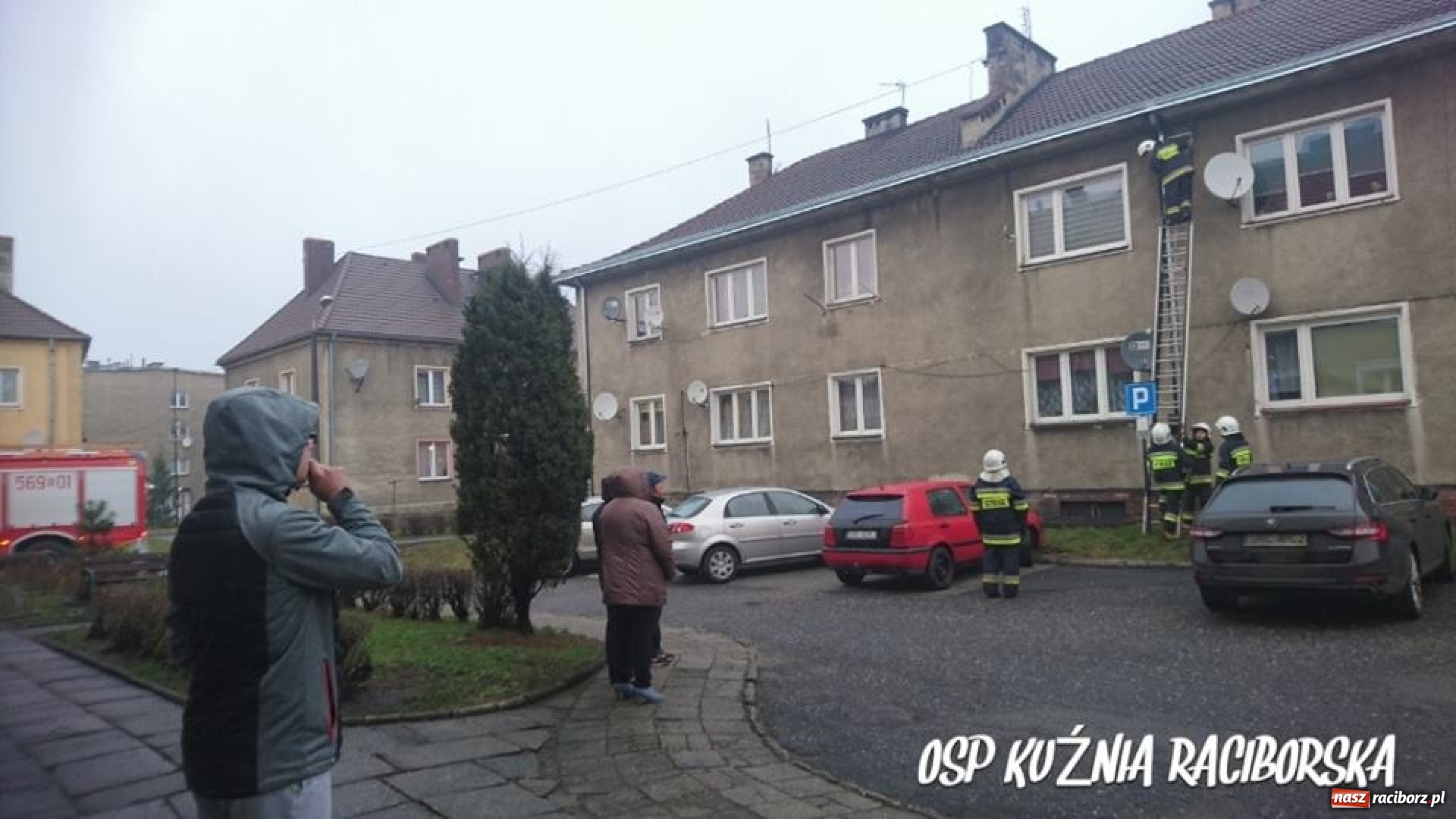 Zdjęcie w galerii na portalu naszraciborz.pl: Przedświąteczne ratowanie kota w Kuźni Raciborskiej  wiadomości z regionu