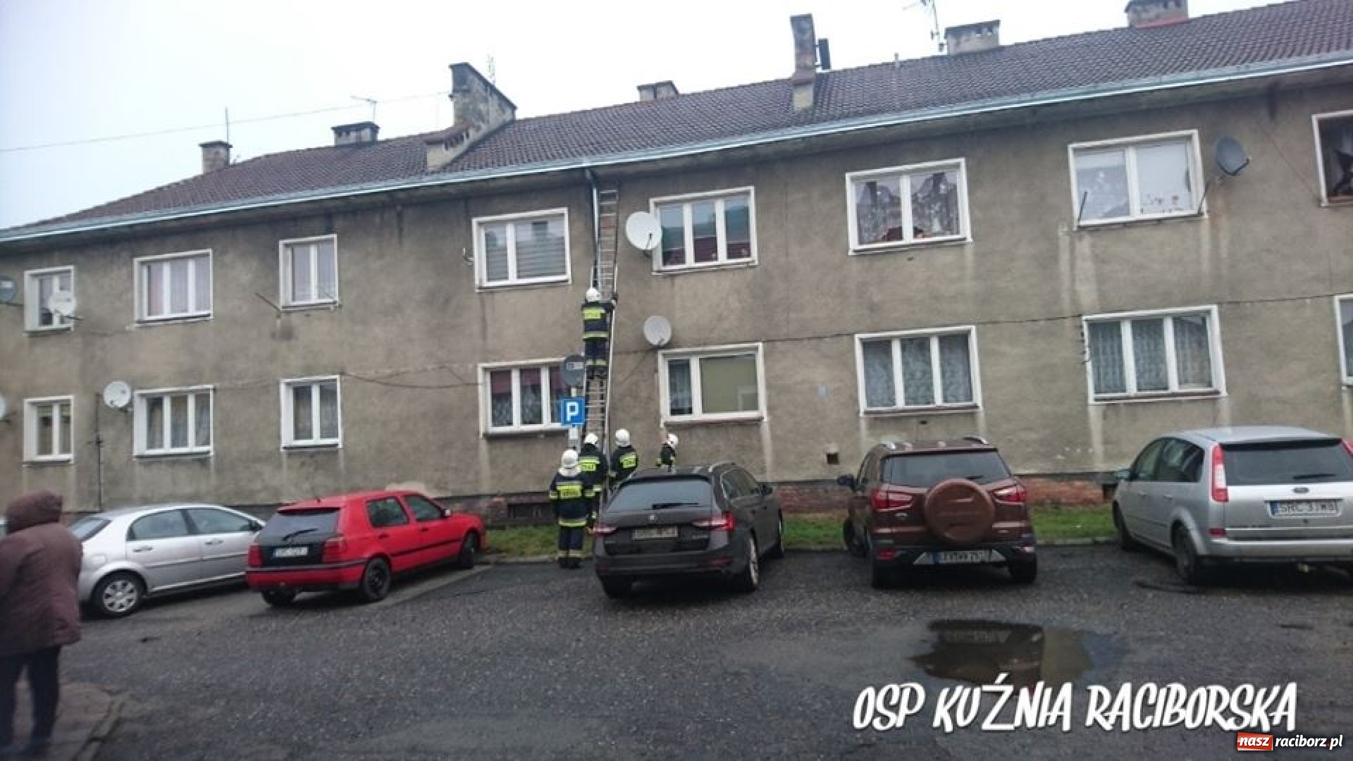 Zdjęcie w galerii na portalu naszraciborz.pl: Przedświąteczne ratowanie kota w Kuźni Raciborskiej  wiadomości z regionu