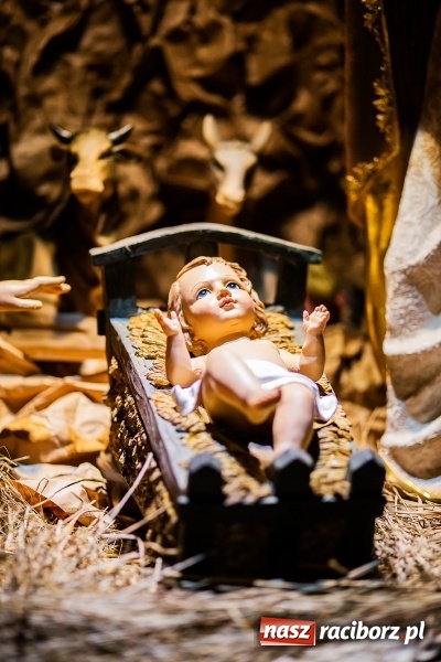 Zdjęcie w galerii na portalu naszraciborz.pl: Raciborskie stajenki AD 2018  wiadomości z regionu