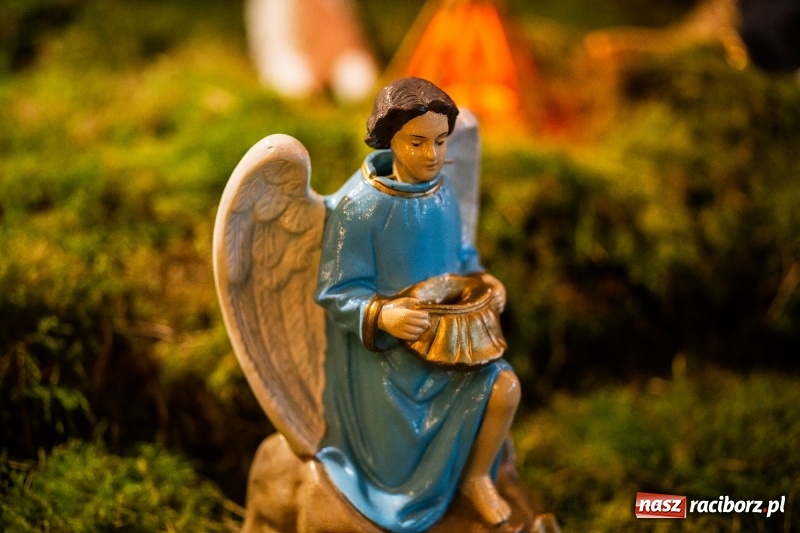 Zdjęcie w galerii na portalu naszraciborz.pl: Raciborskie stajenki AD 2018  wiadomości z regionu