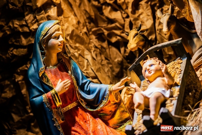 Zdjęcie w galerii na portalu naszraciborz.pl: Raciborskie stajenki AD 2018  wiadomości z regionu