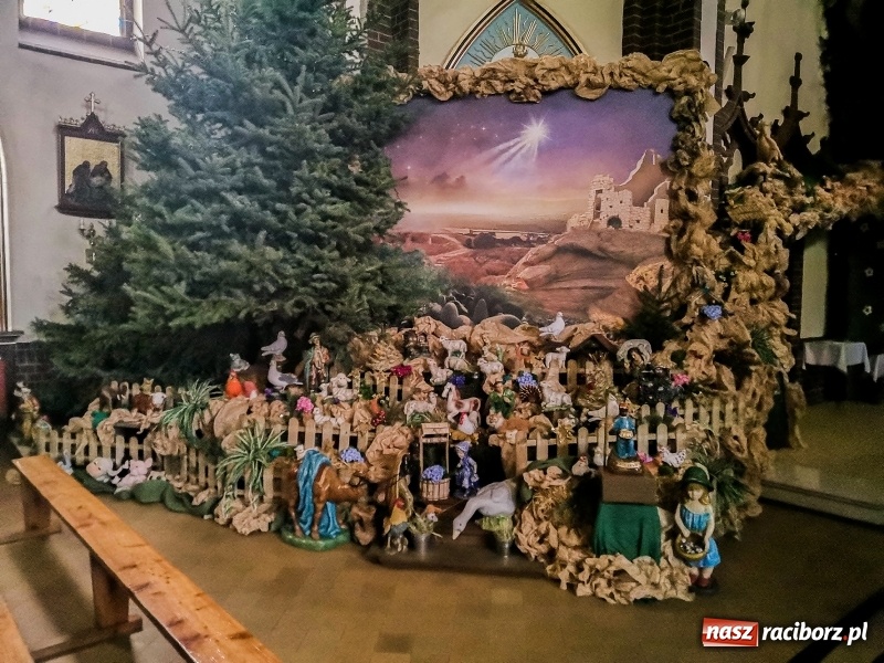 Zdjęcie w galerii na portalu naszraciborz.pl: Raciborskie stajenki AD 2018  wiadomości z regionu