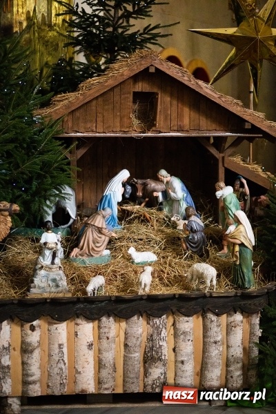 Zdjęcie w galerii na portalu naszraciborz.pl: Raciborskie stajenki AD 2018  wiadomości z regionu