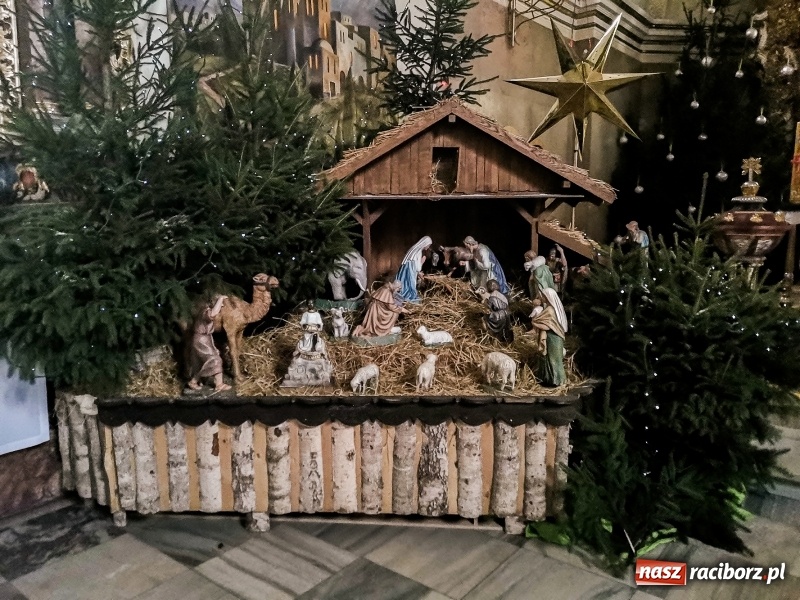 Zdjęcie w galerii na portalu naszraciborz.pl: Raciborskie stajenki AD 2018  wiadomości z regionu
