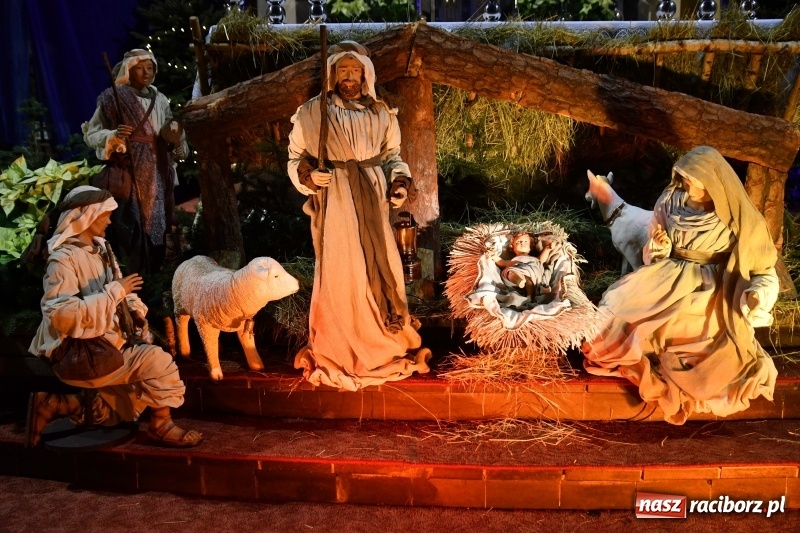 Zdjęcie w galerii na portalu naszraciborz.pl: Raciborskie stajenki AD 2018  wiadomości z regionu