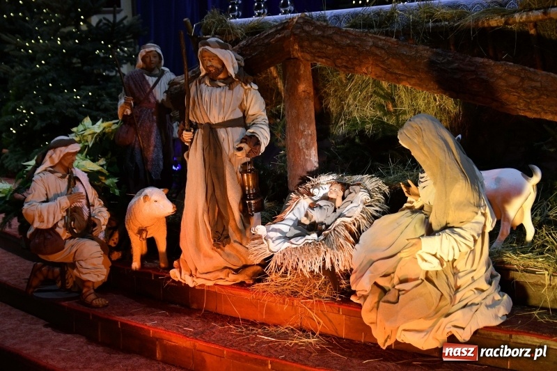 Zdjęcie w galerii na portalu naszraciborz.pl: Raciborskie stajenki AD 2018  wiadomości z regionu