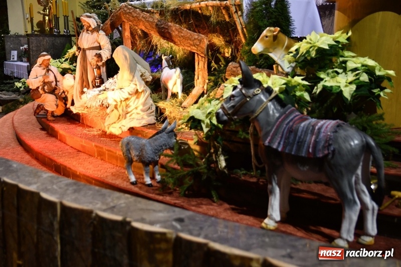 Zdjęcie w galerii na portalu naszraciborz.pl: Raciborskie stajenki AD 2018  wiadomości z regionu