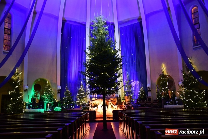 Zdjęcie w galerii na portalu naszraciborz.pl: Raciborskie stajenki AD 2018  wiadomości z regionu