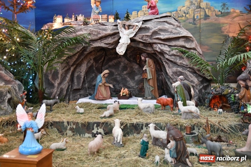 Zdjęcie w galerii na portalu naszraciborz.pl: Raciborskie stajenki AD 2018  wiadomości z regionu