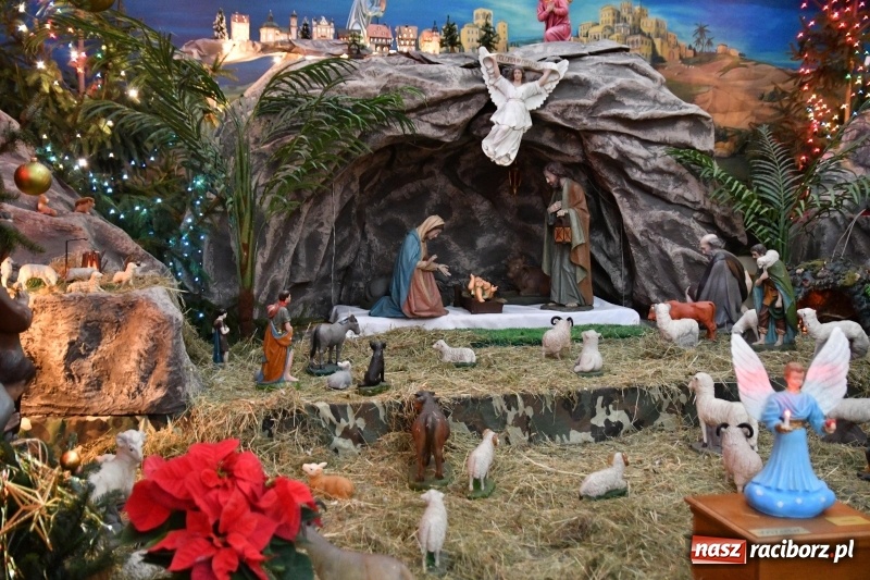 Zdjęcie w galerii na portalu naszraciborz.pl: Raciborskie stajenki AD 2018  wiadomości z regionu