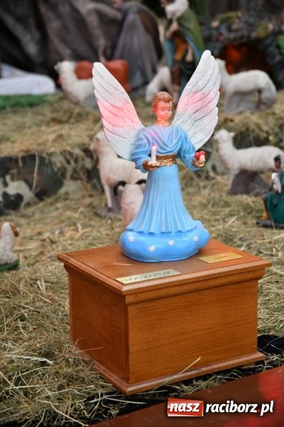 Zdjęcie w galerii na portalu naszraciborz.pl: Raciborskie stajenki AD 2018  wiadomości z regionu