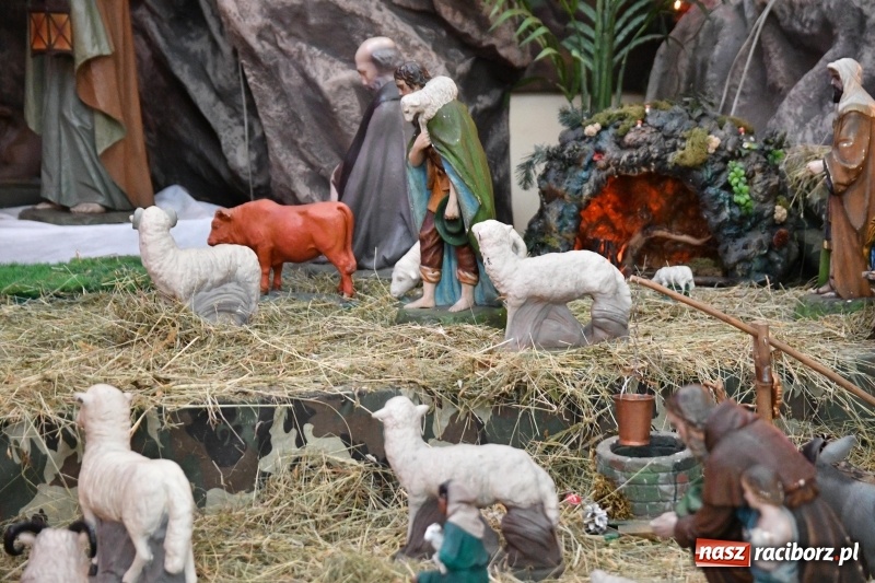 Zdjęcie w galerii na portalu naszraciborz.pl: Raciborskie stajenki AD 2018  wiadomości z regionu