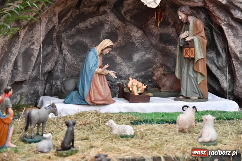 Zdjęcie w galerii na portalu naszraciborz.pl: Raciborskie stajenki AD 2018  wiadomości z regionu