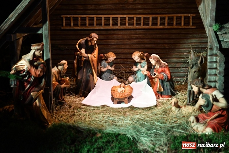 Zdjęcie w galerii na portalu naszraciborz.pl: Raciborskie stajenki AD 2018  wiadomości z regionu