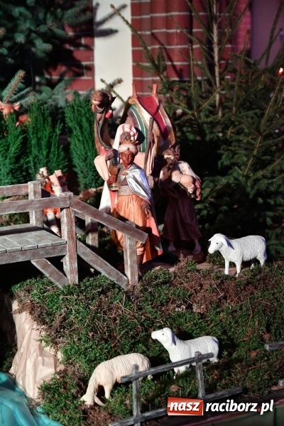 Zdjęcie w galerii na portalu naszraciborz.pl: Raciborskie stajenki AD 2018  wiadomości z regionu