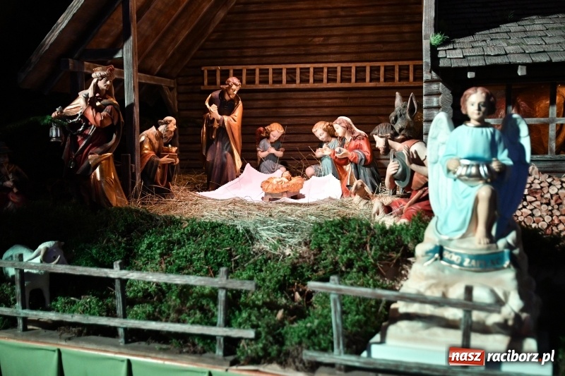 Zdjęcie w galerii na portalu naszraciborz.pl: Raciborskie stajenki AD 2018  wiadomości z regionu